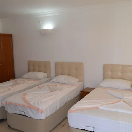 Prens Yildiz Ayvalı