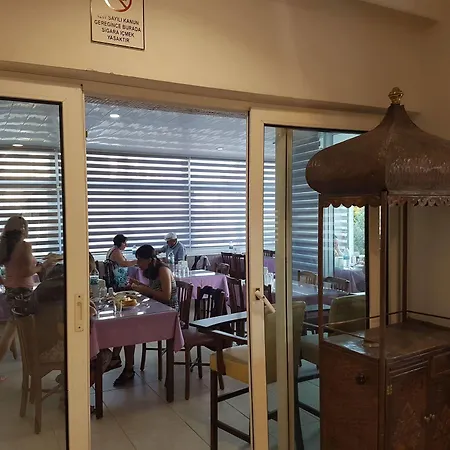 Prens Yildiz Ayvalı